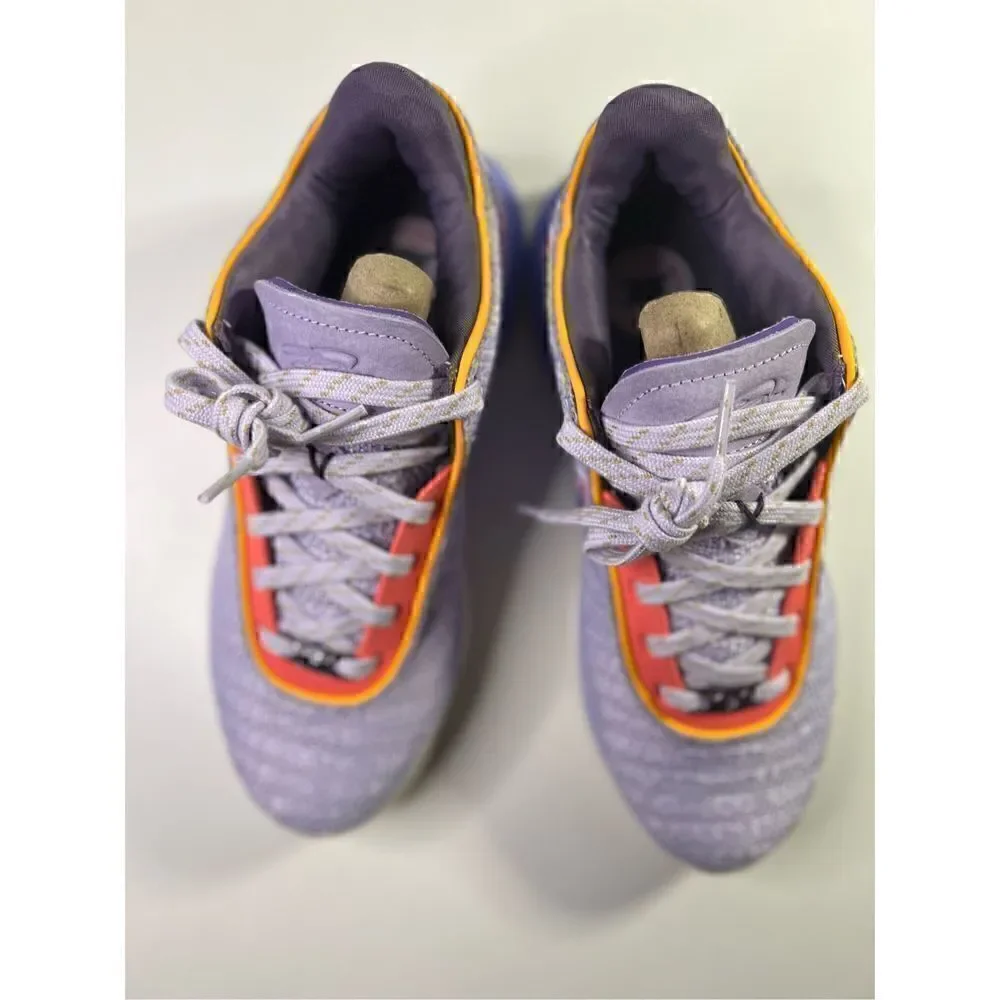 LeBron XX “Purple and Gold” BRAND NEW WITH BOX